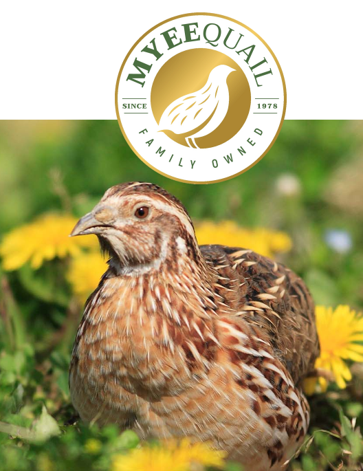 Myee Quail